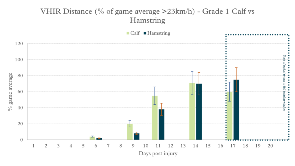 Calf vs hamstring rehab