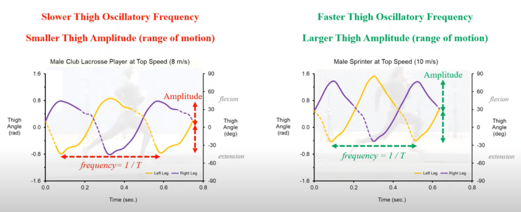 Graphs displaying thigh oscillatory frequency and amplitude for a team sport player and a sprinter