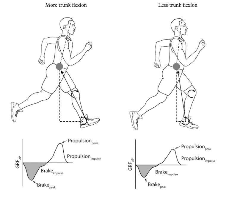 Figure 7: braking and propulsive forces