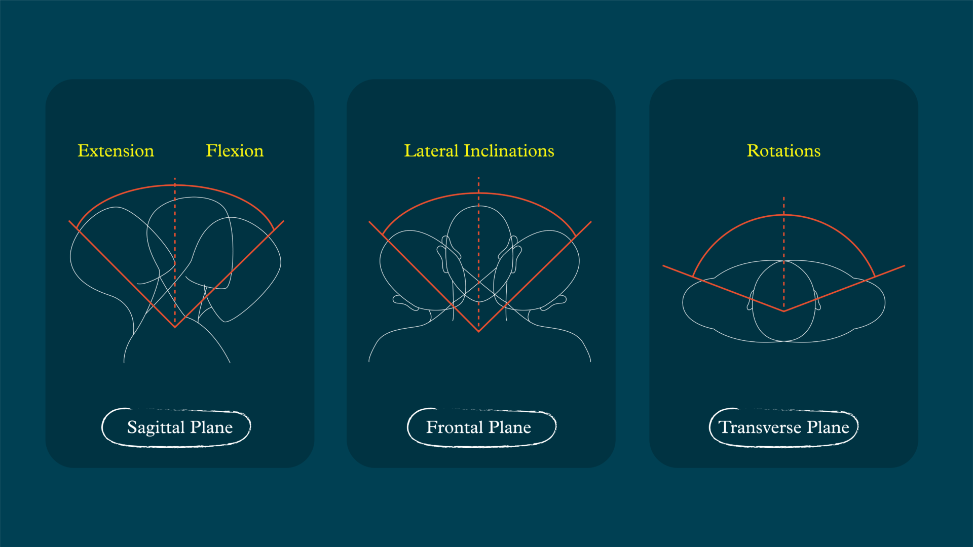 How to train the neck for collision sports: From isometrics to shock ...