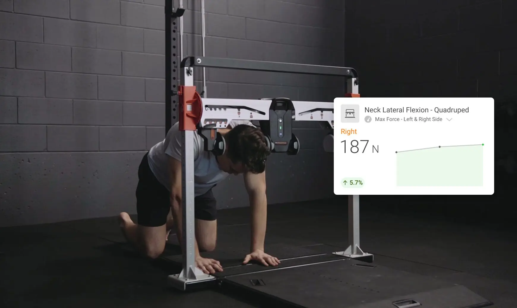 How to train the neck for collision sports: From isometrics to shock ...